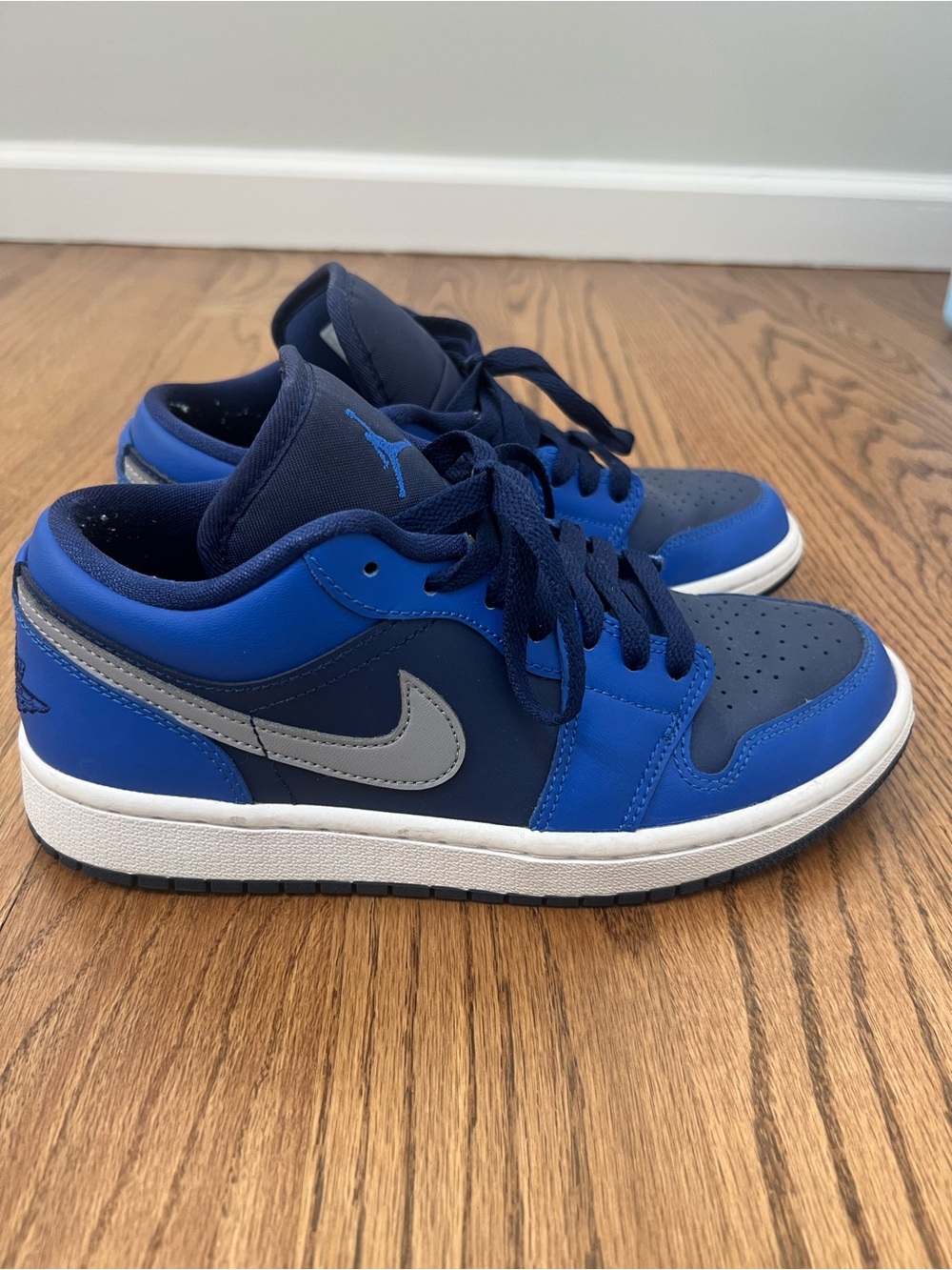 Nike Low Top Sneakers in Dark Blue & Royal Blue with Gray Swoosh